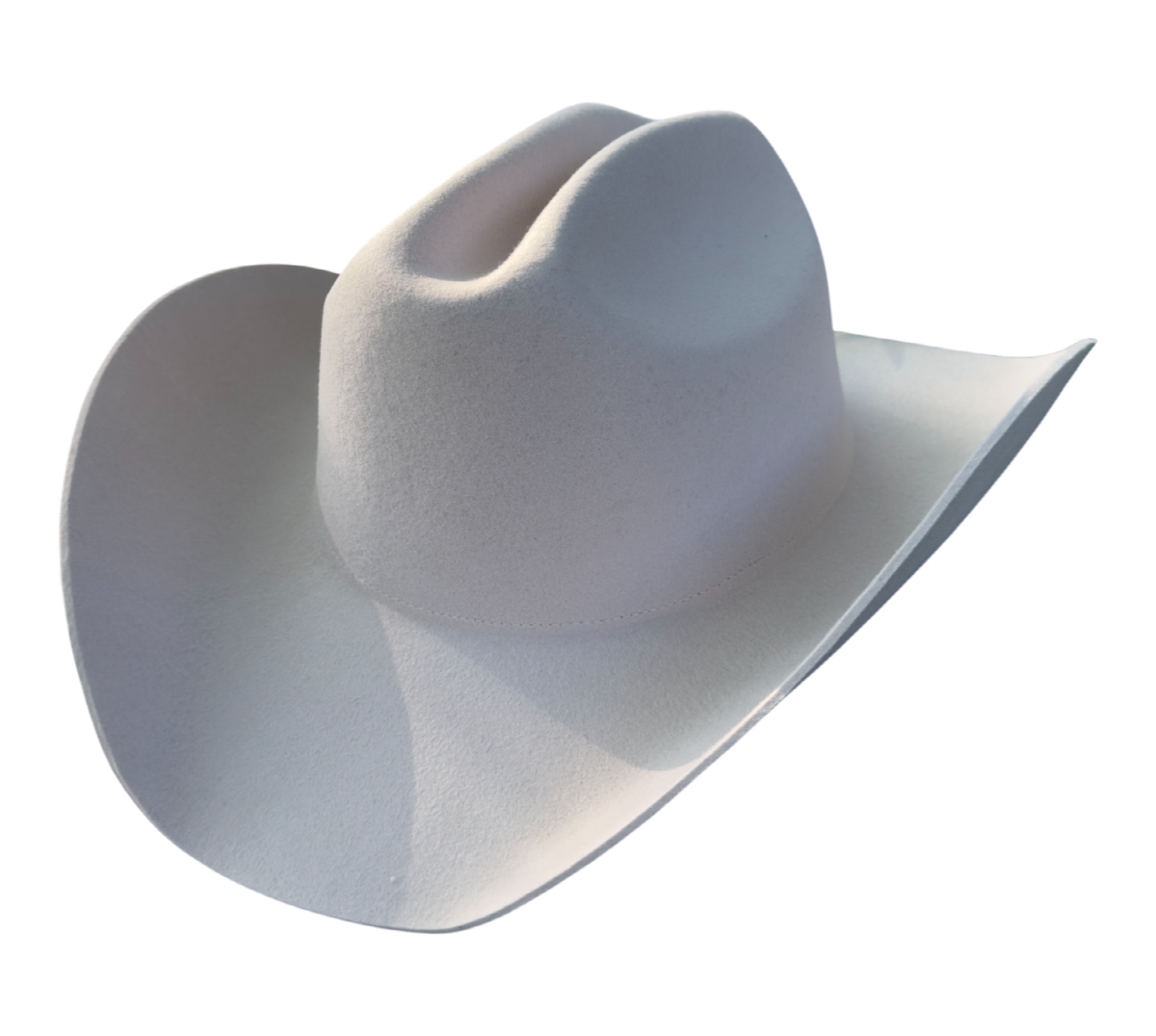Cattleman Cowboy One Size Fits All