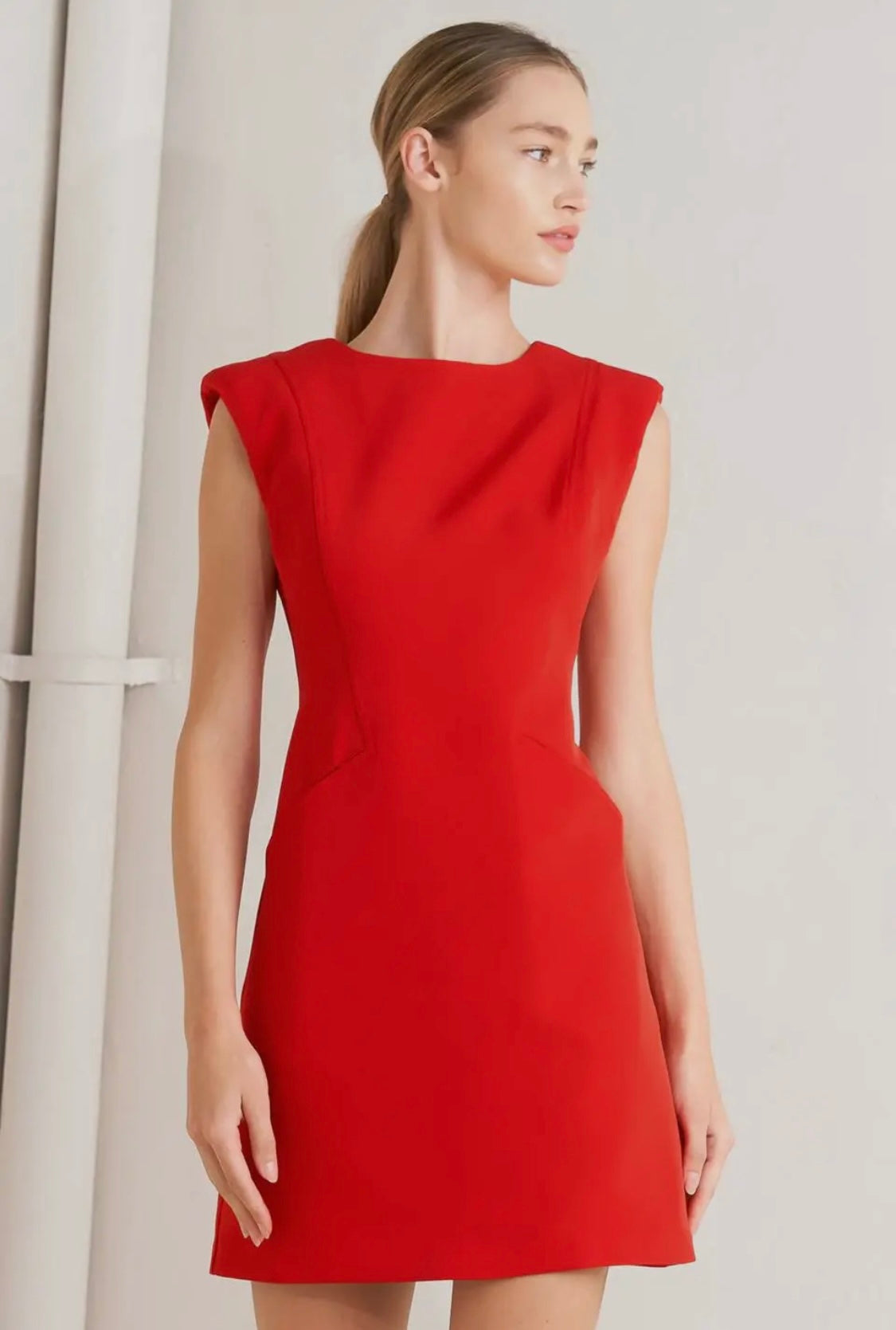 Red Solid Woven Dress