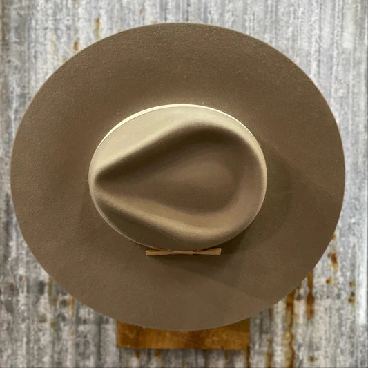 Fedora Mushroom